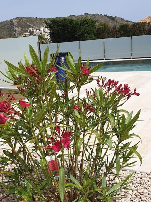 Casa Osimos Portet 450 M Moraira Bagian luar foto