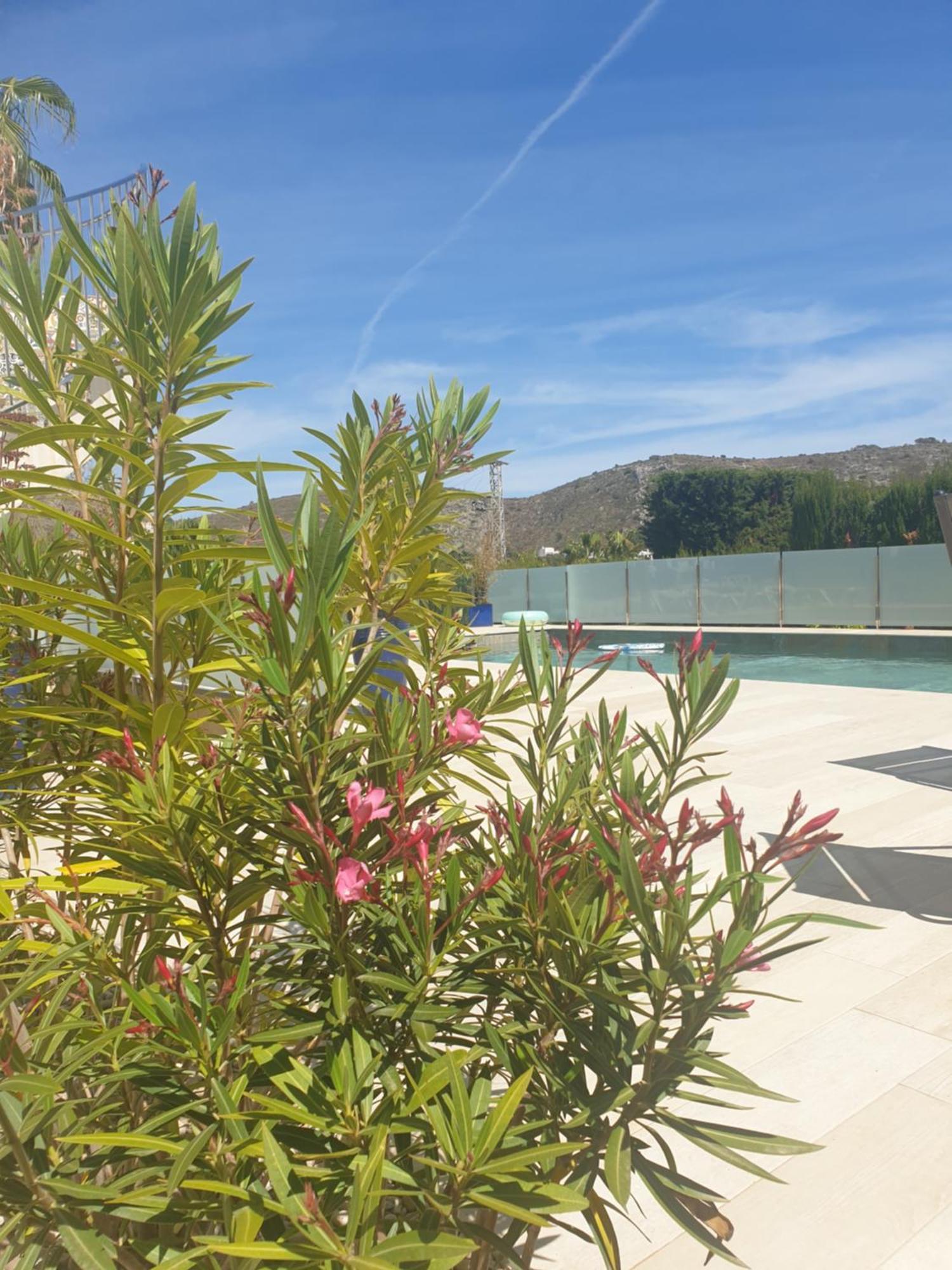 Casa Osimos Portet 450 M Moraira Bagian luar foto